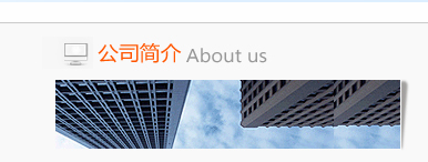 公司简介