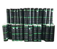 弹性体改性沥青防水卷材